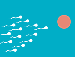 Bagaimana Hukum Sperma Menurut Ulama 4 Mazhab, Begini Penjelasannya